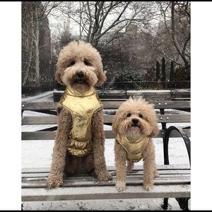 New Gold fabdog DOG puffer coat Sz. 22”